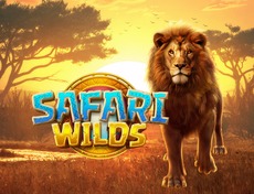 Safari Wilds